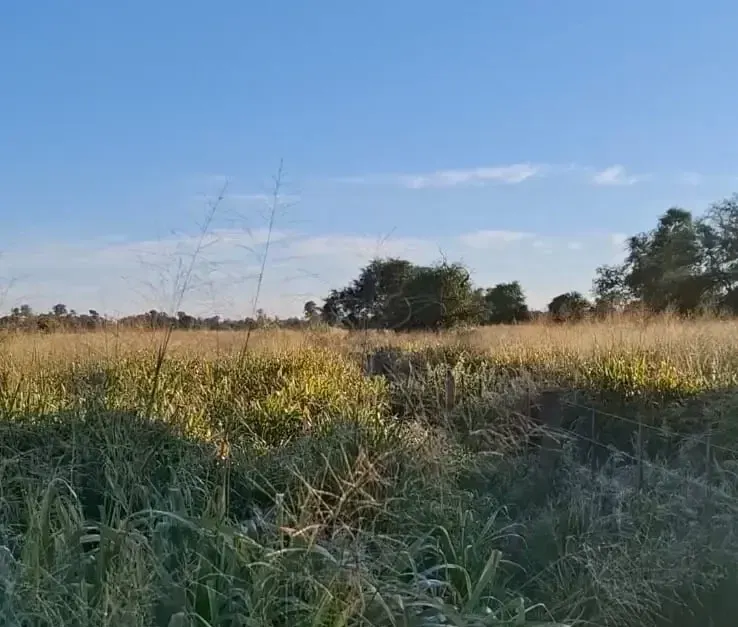 Fazenda à venda de 3.700 ha em Colonia Neuland, Paraguai