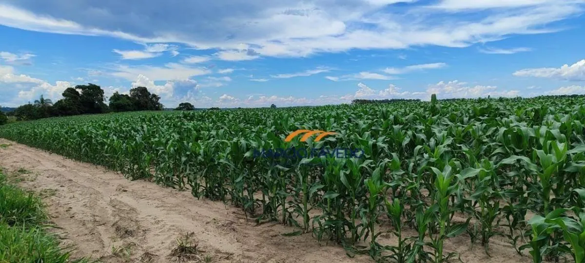 Farm for sale of 335 acres in Sorocaba, SP, Brazil