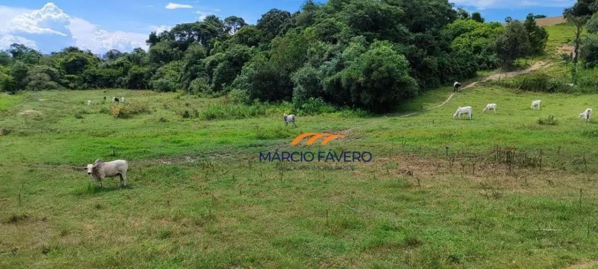 Farm for sale of 335 acres in Sorocaba, SP, Brazil