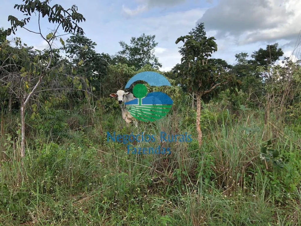 Sítio à venda e para Arrendar de 96 ha em Uruaçu, GO, Brasil
