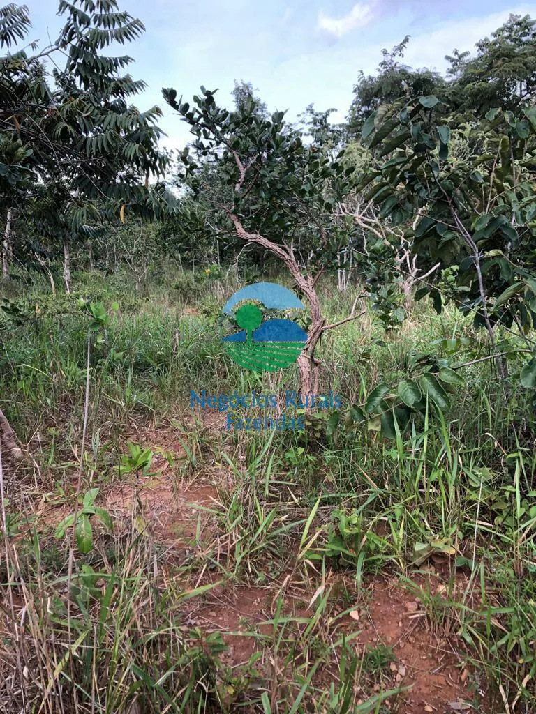 Sítio à venda e para Arrendar de 96 ha em Uruaçu, GO, Brasil