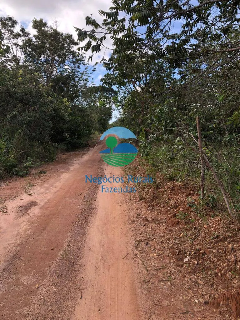 Sítio à venda e para Arrendar de 96 ha em Uruaçu, GO, Brasil