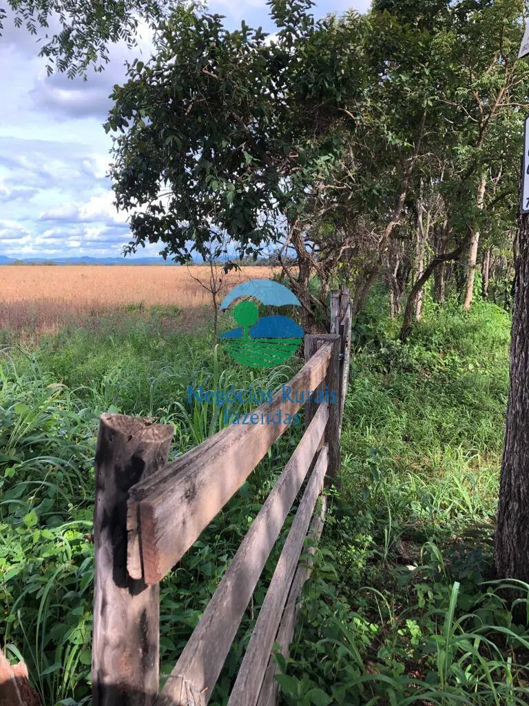 Sítio à venda e para Arrendar de 96 ha em Uruaçu, GO, Brasil