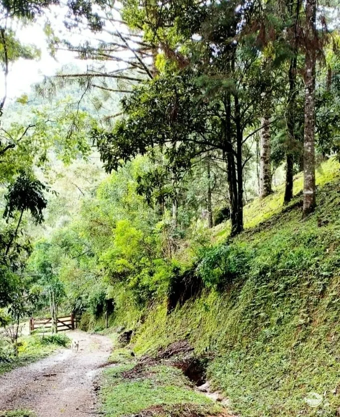 Sítio à venda de 6 ha em São José dos Campos, SP, Brasil