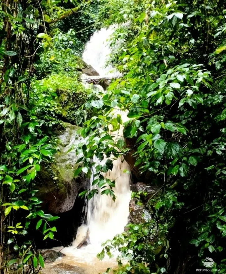Sítio à venda de 6 ha em São José dos Campos, SP, Brasil