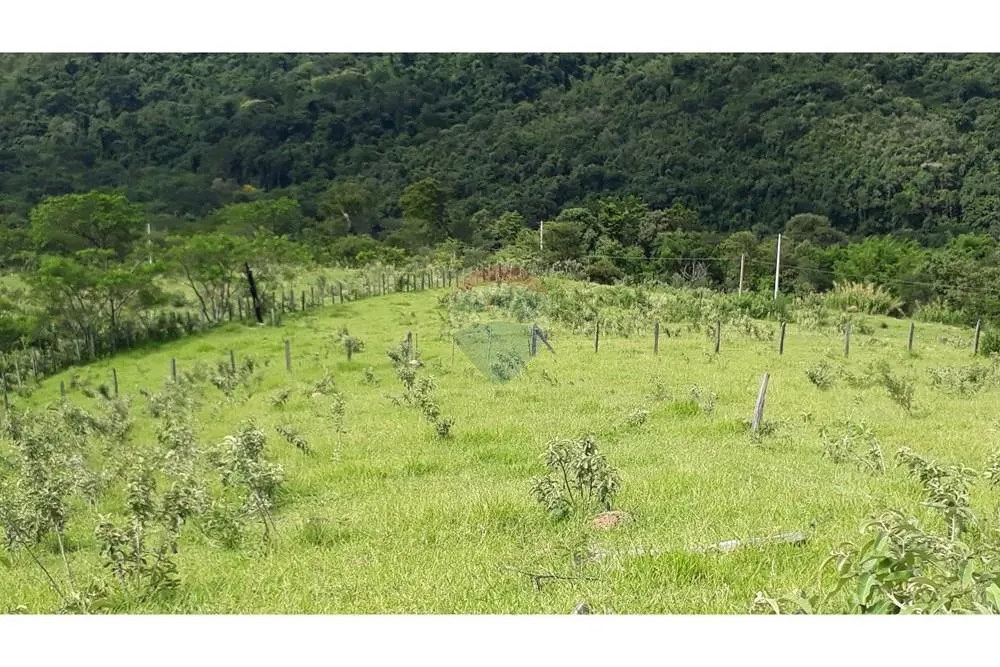 Sítio à venda de 5 ha em Serra Negra, SP, Brasil