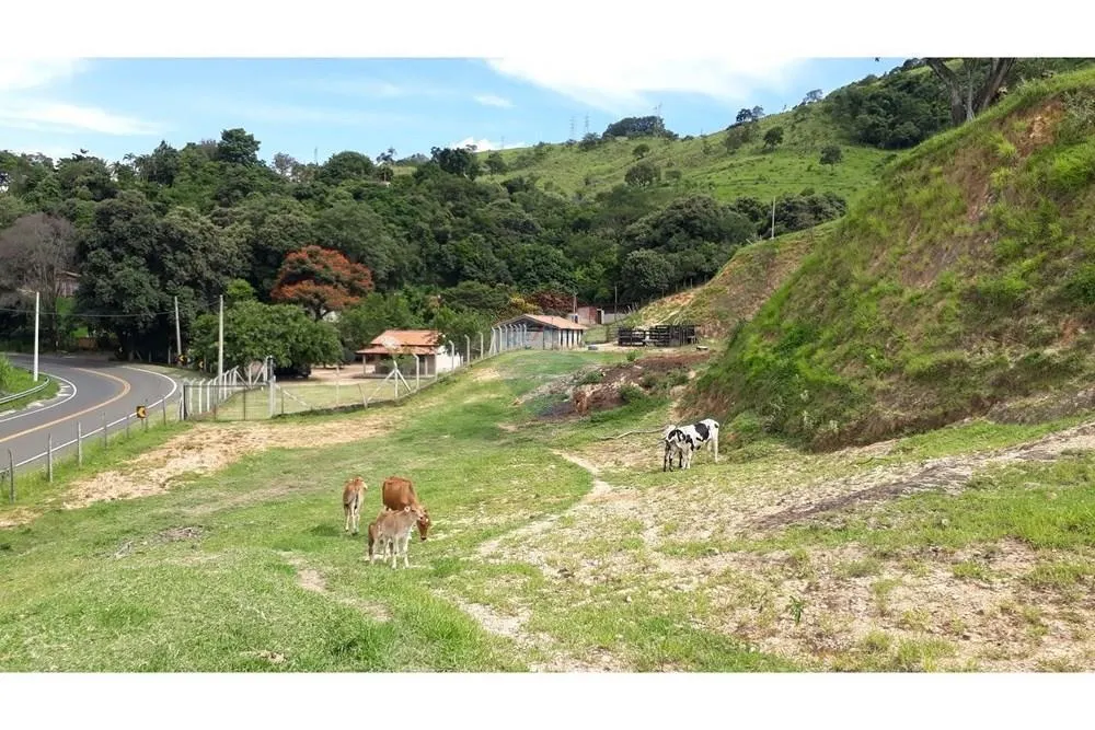 Sítio à venda de 5 ha em Serra Negra, SP, Brasil