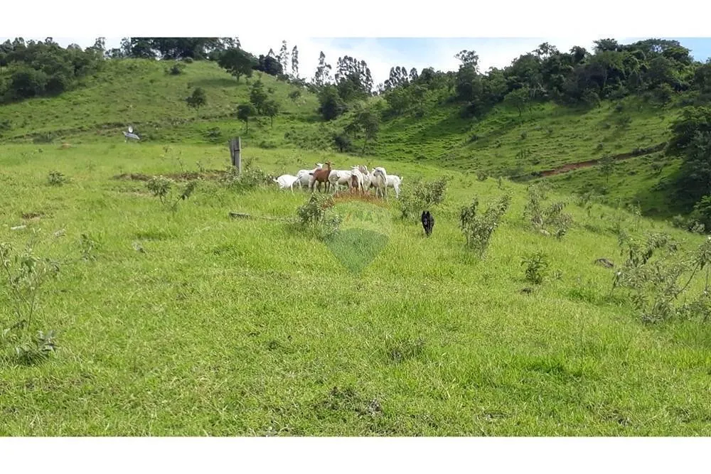 Sítio à venda de 5 ha em Serra Negra, SP, Brasil