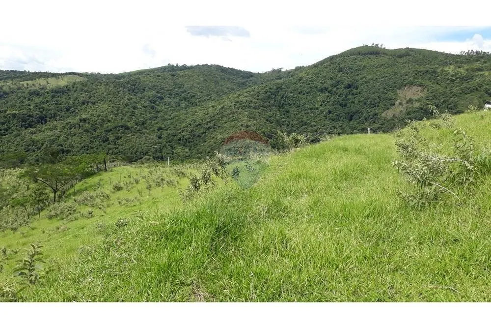 Sítio à venda de 5 ha em Serra Negra, SP, Brasil