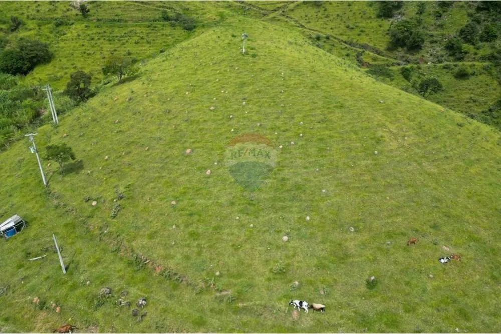 Sítio à venda de 5 ha em Serra Negra, SP, Brasil