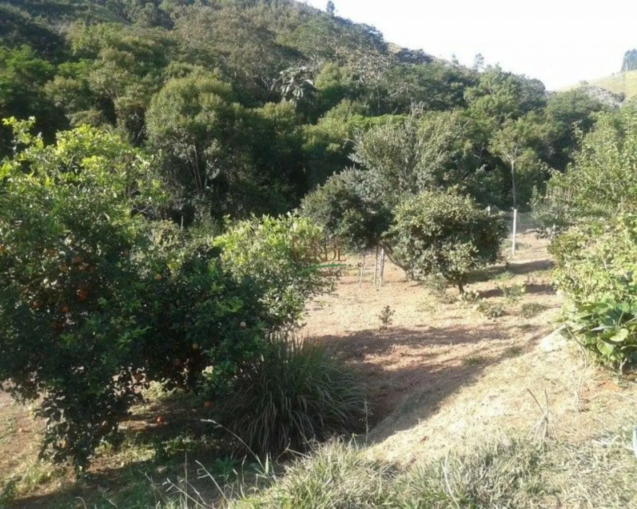 Sítio à venda de 15 ha em Igaratá, SP, Brasil
