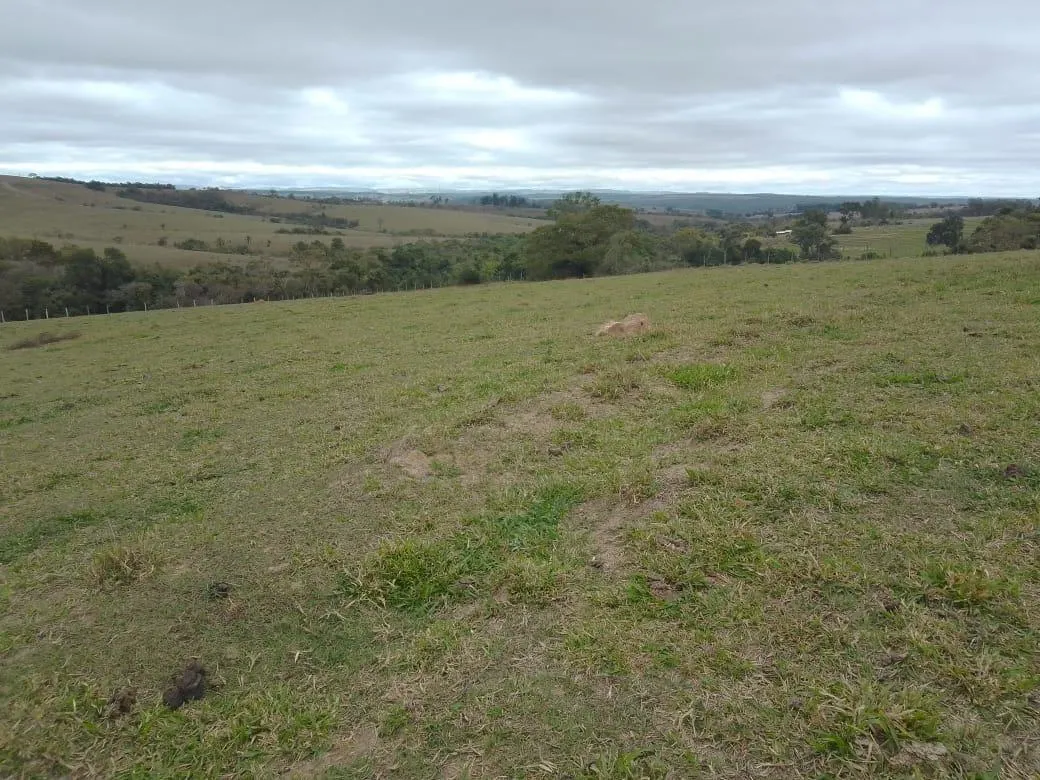 Small farm for sale of 8 acres in Piracicaba, SP, Brazil