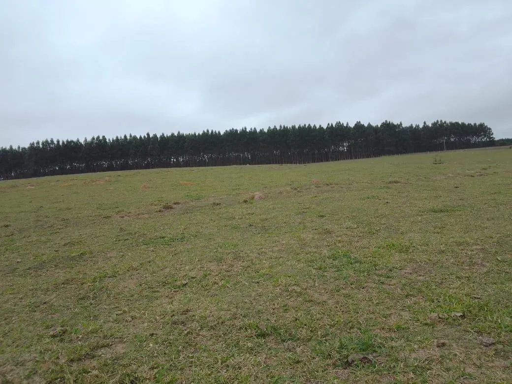 Small farm for sale of 8 acres in Piracicaba, SP, Brazil