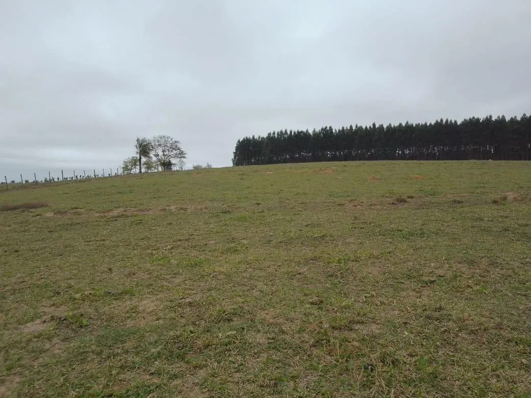 Small farm for sale of 8 acres in Piracicaba, SP, Brazil