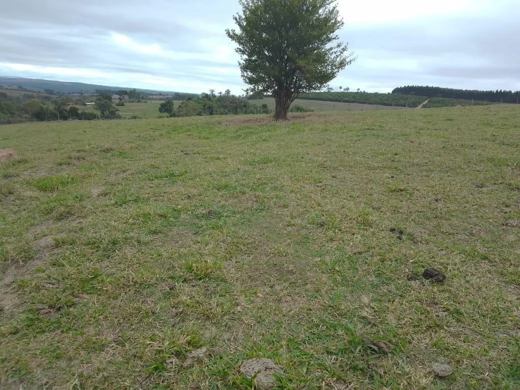 Small farm for sale of 8 acres in Piracicaba, SP, Brazil