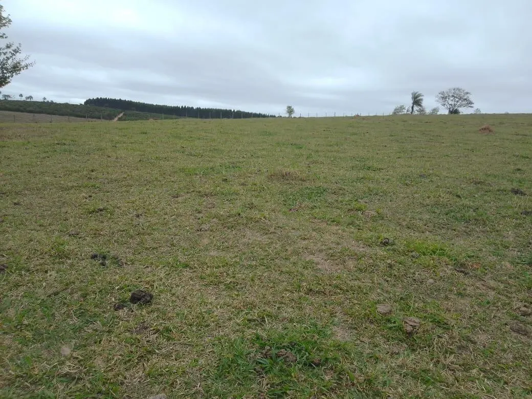 Small farm for sale of 8 acres in Piracicaba, SP, Brazil