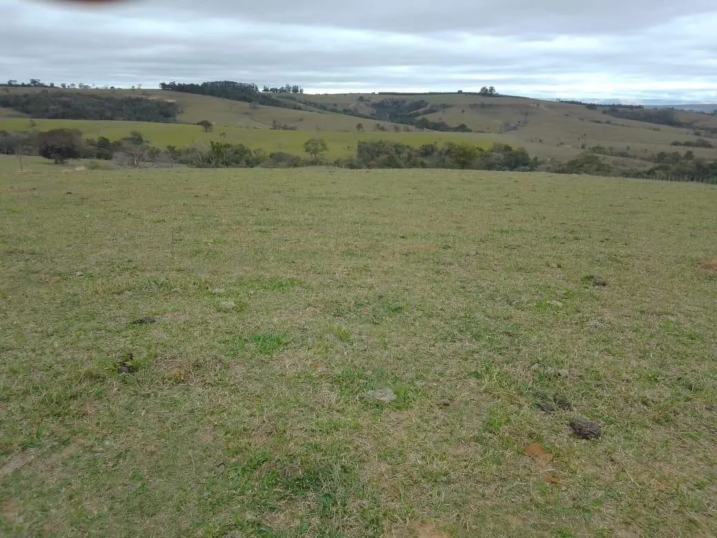 Small farm for sale of 8 acres in Piracicaba, SP, Brazil