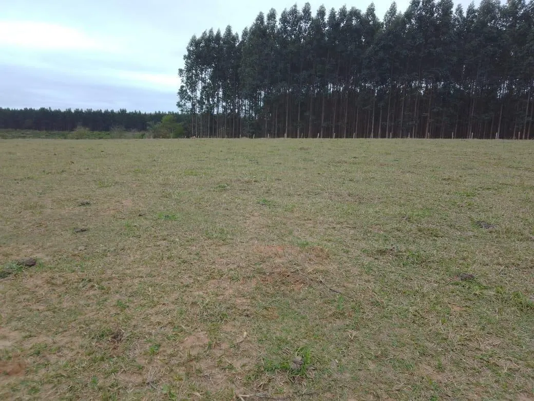 Small farm for sale of 8 acres in Piracicaba, SP, Brazil
