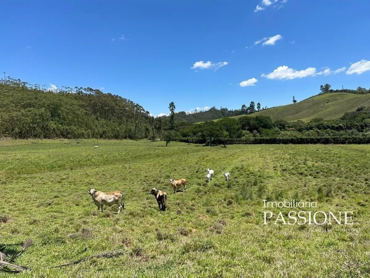 Sítio à venda de 7 ha em Joanópolis, SP, Brasil