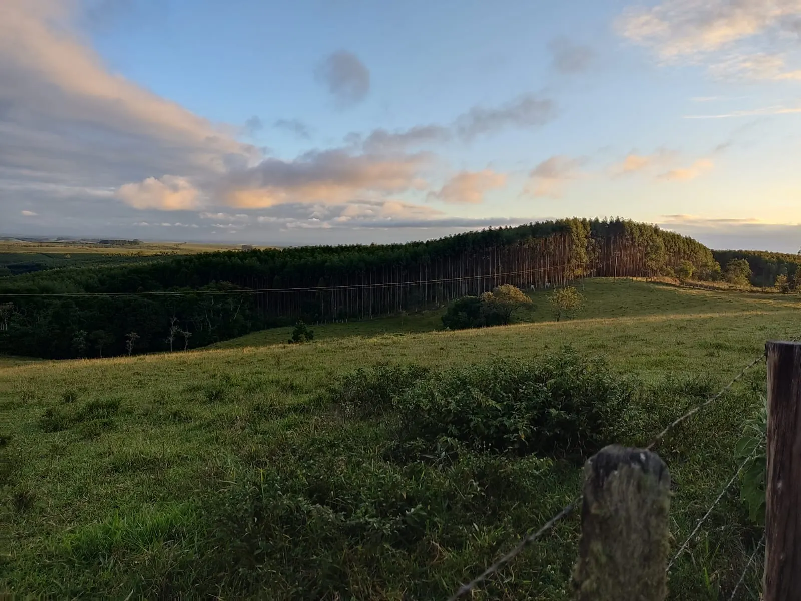 Small farm for sale of 150 acres in São Miguel Arcanjo, SP, Brazil
