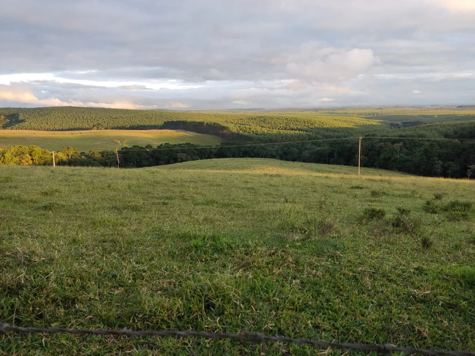 Sítio à venda de 61 ha em São Miguel Arcanjo, SP, Brasil