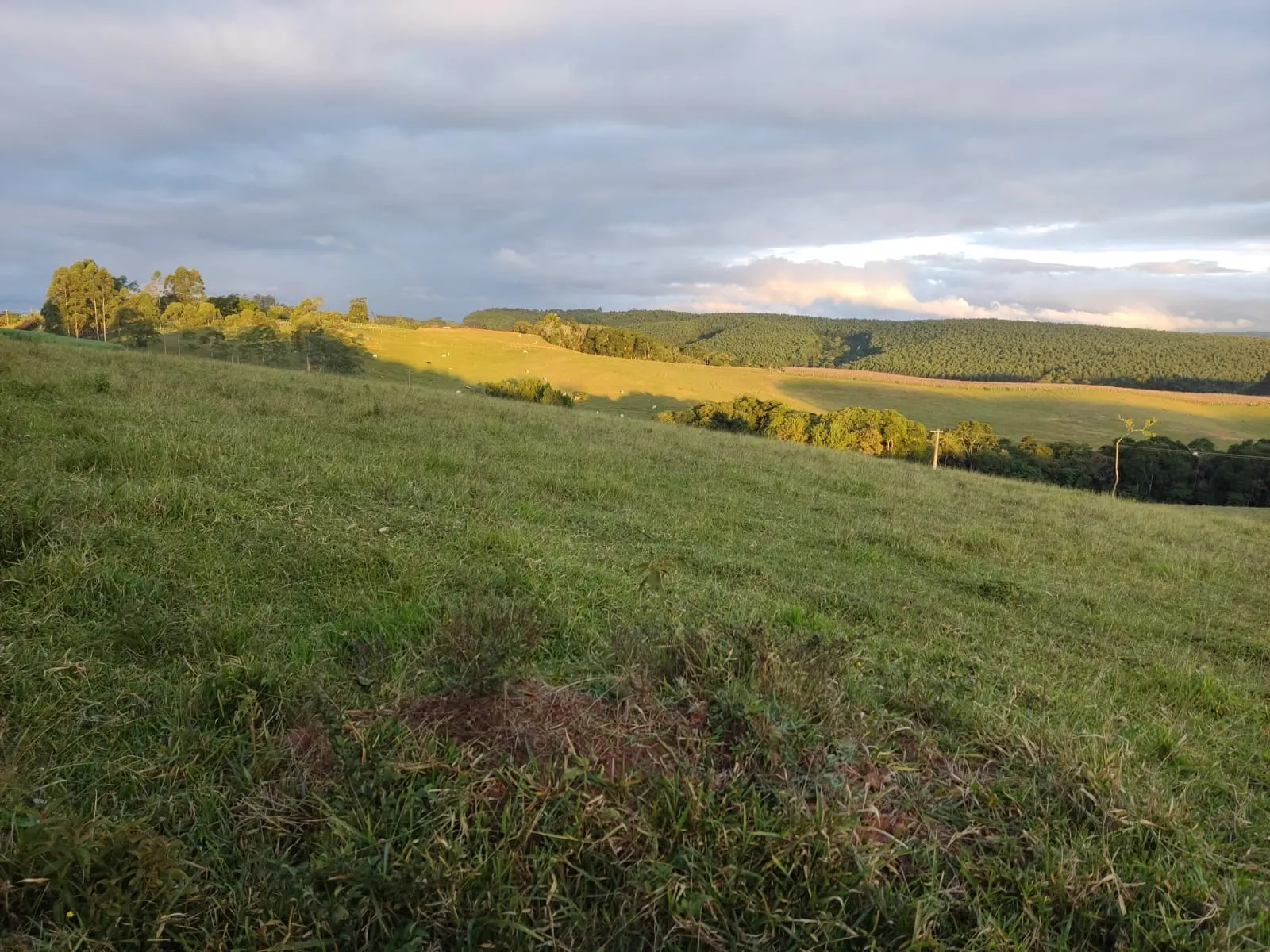 Sítio à venda de 61 ha em São Miguel Arcanjo, SP, Brasil