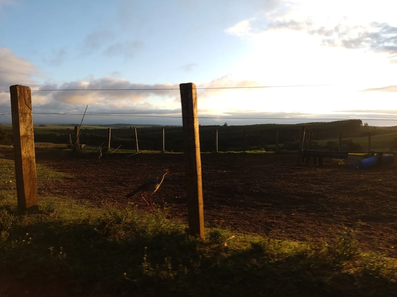 Sítio à venda de 61 ha em São Miguel Arcanjo, SP, Brasil