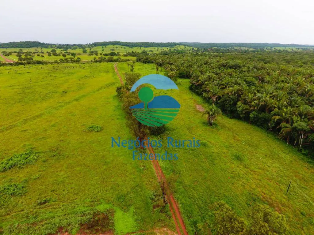 Fazenda à venda de 2.739 ha em Guaraí, TO, Brasil