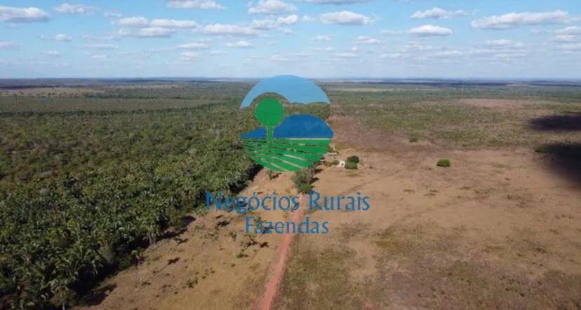 Fazenda à venda de 2.739 ha em Guaraí, TO, Brasil