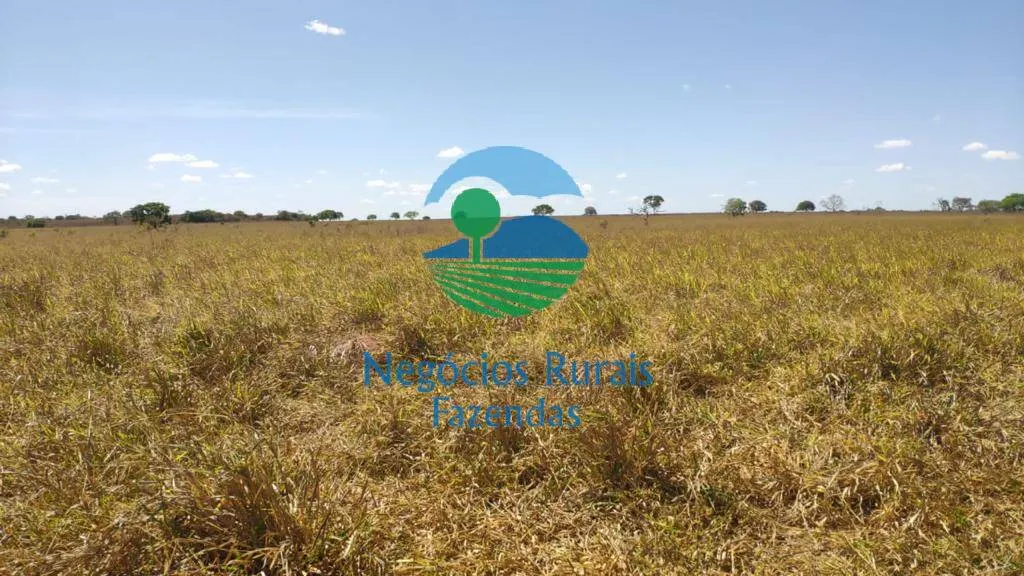 Fazenda à venda de 2.739 ha em Guaraí, TO, Brasil