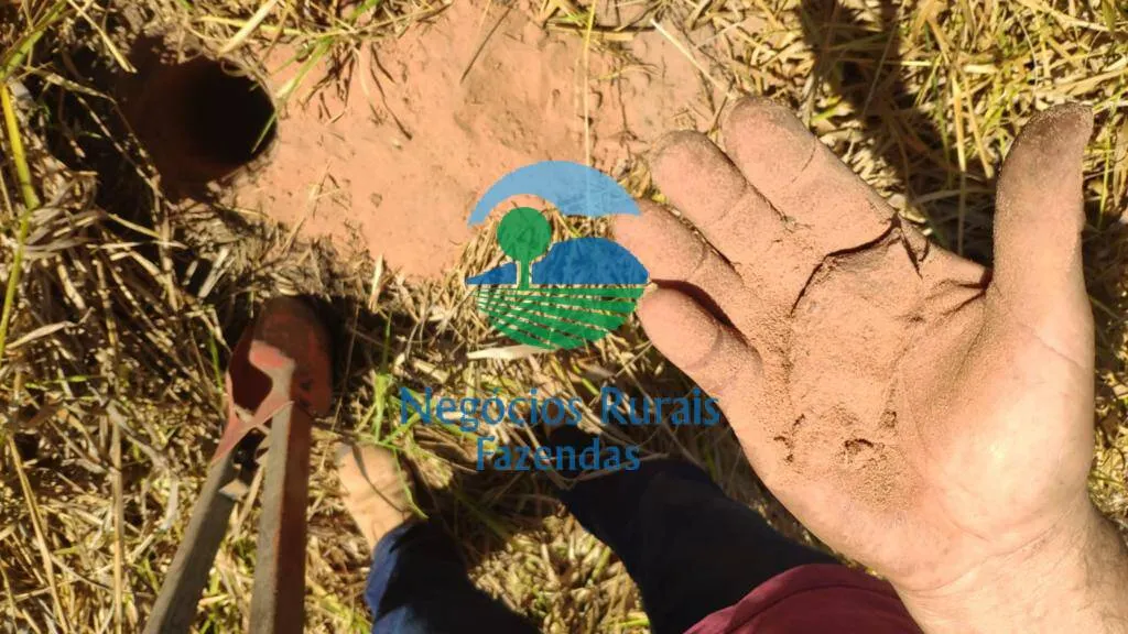 Fazenda à venda de 2.739 ha em Guaraí, TO, Brasil