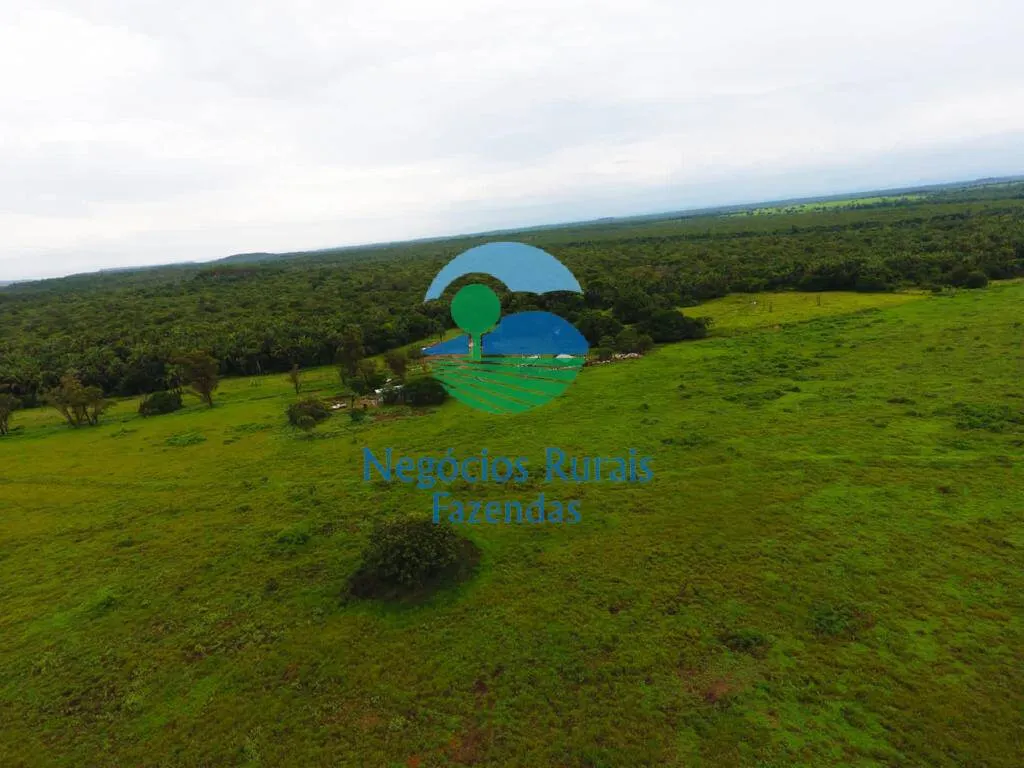 Fazenda à venda de 2.739 ha em Guaraí, TO, Brasil
