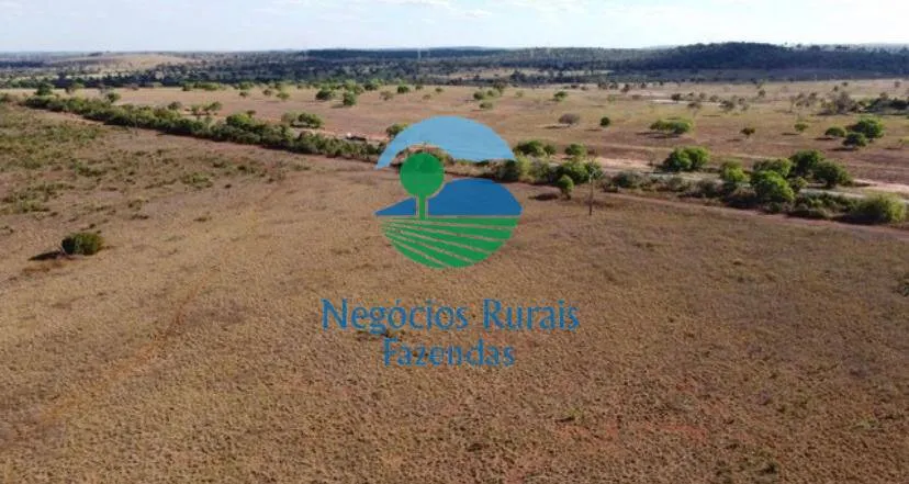 Fazenda à venda de 2.739 ha em Guaraí, TO, Brasil