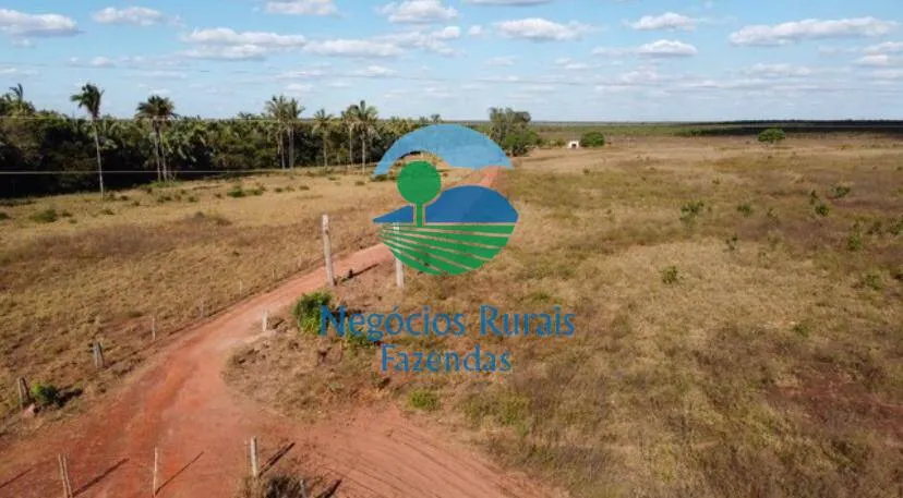 Fazenda à venda de 2.739 ha em Guaraí, TO, Brasil