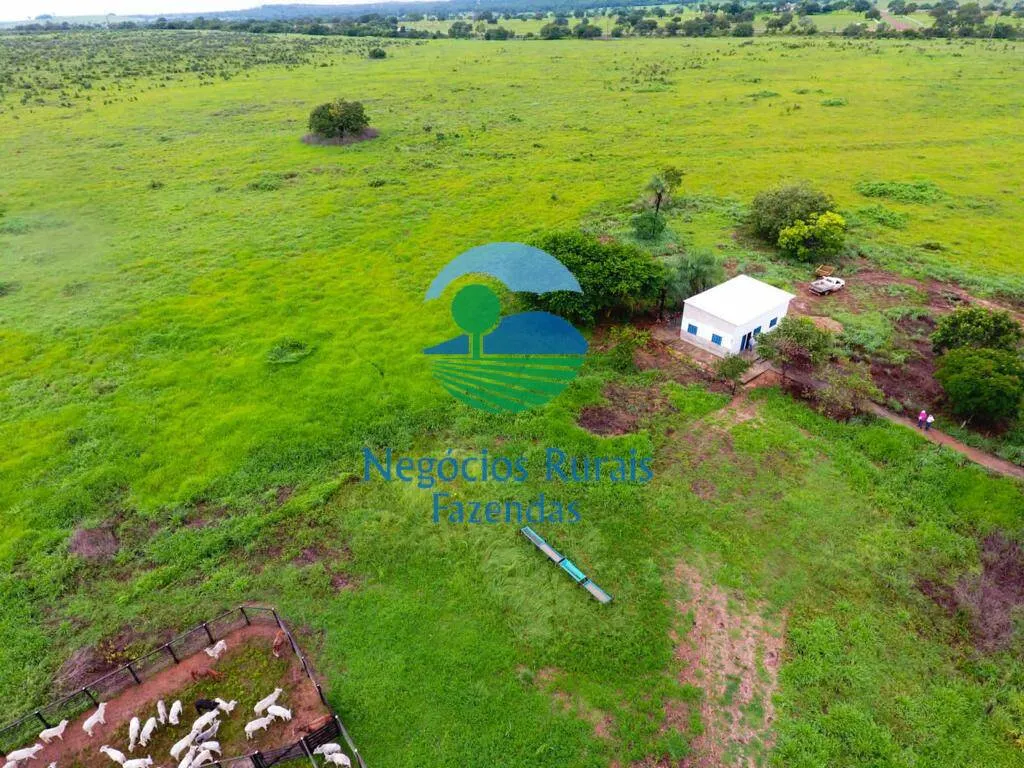Fazenda à venda de 2.739 ha em Guaraí, TO, Brasil