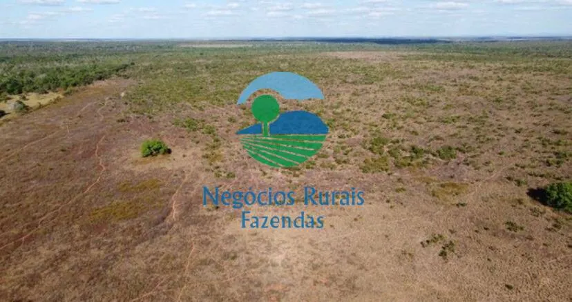 Fazenda à venda de 2.739 ha em Guaraí, TO, Brasil