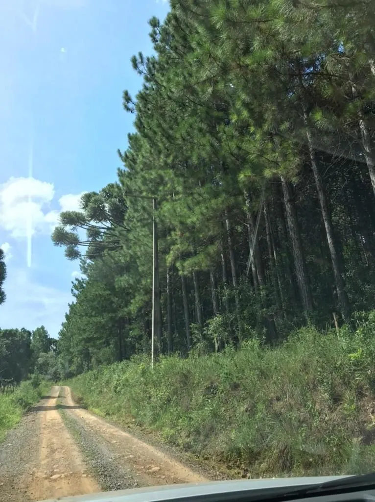 Fazenda à venda de 361 ha em Pinhal da Serra, RS, Brasil