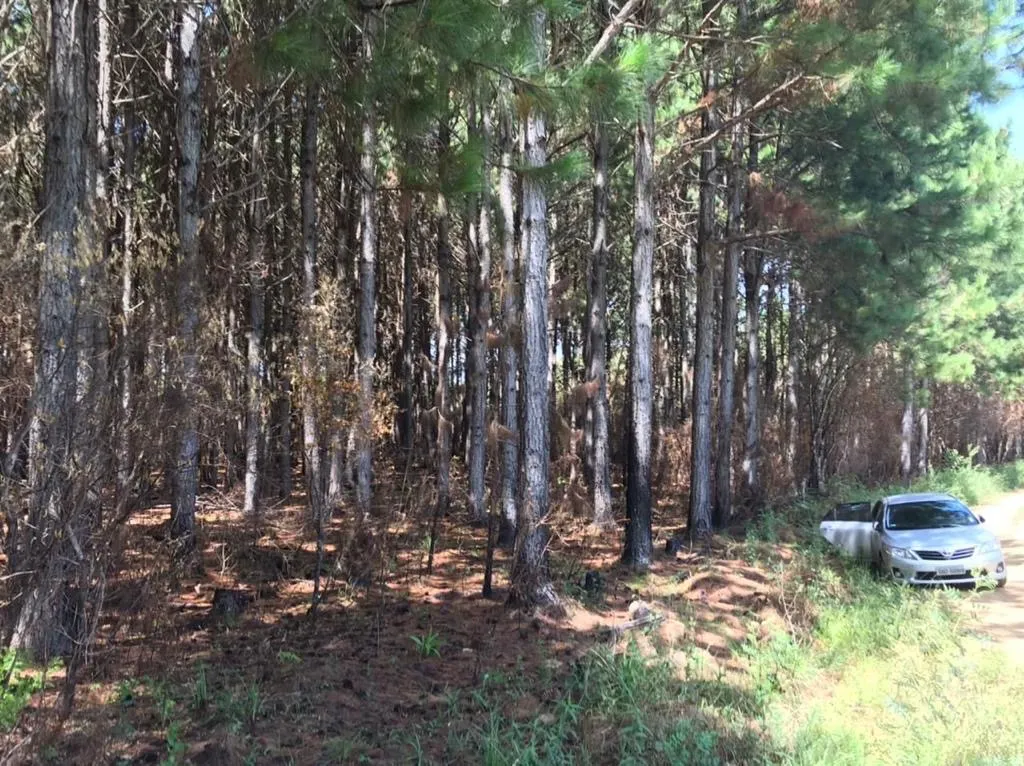 Fazenda à venda de 361 ha em Pinhal da Serra, RS, Brasil