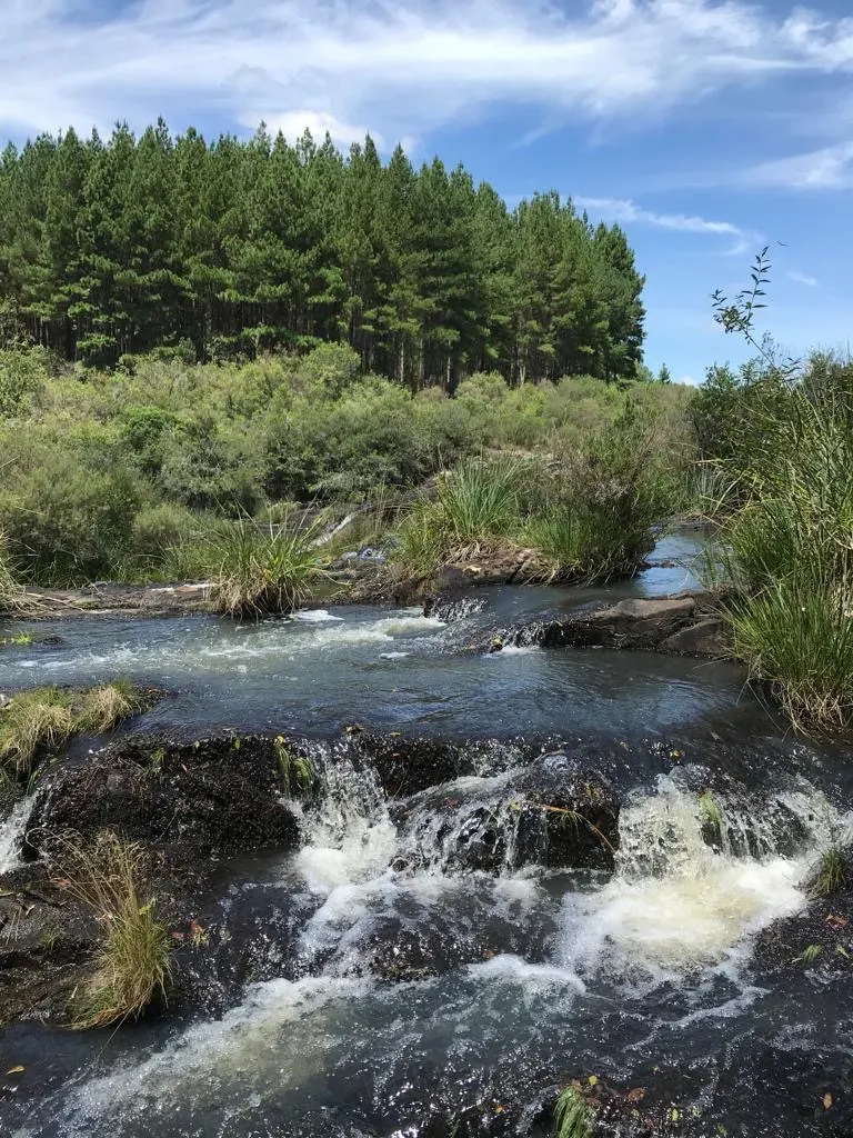 Fazenda à venda de 361 ha em Pinhal da Serra, RS, Brasil