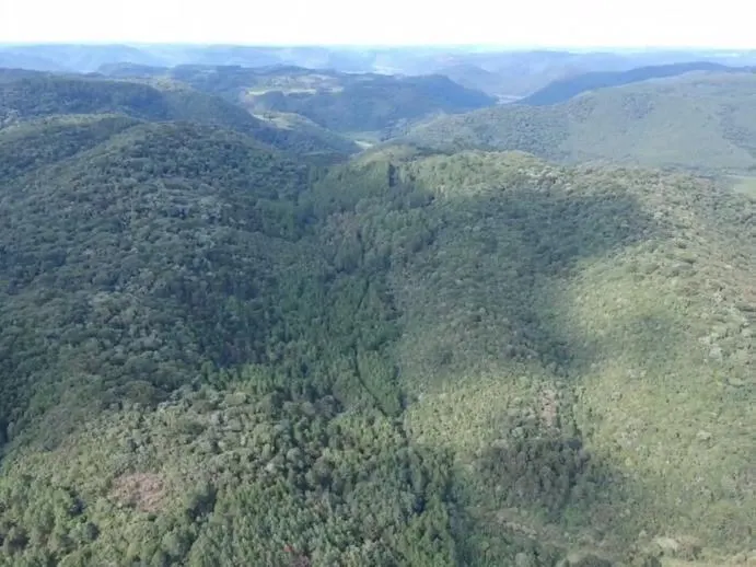 Fazenda à venda de 361 ha em Pinhal da Serra, RS, Brasil