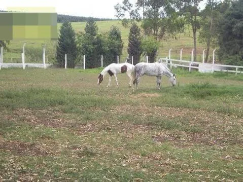 Sítio à venda de 8 ha em Salto de Pirapora, SP, Brasil