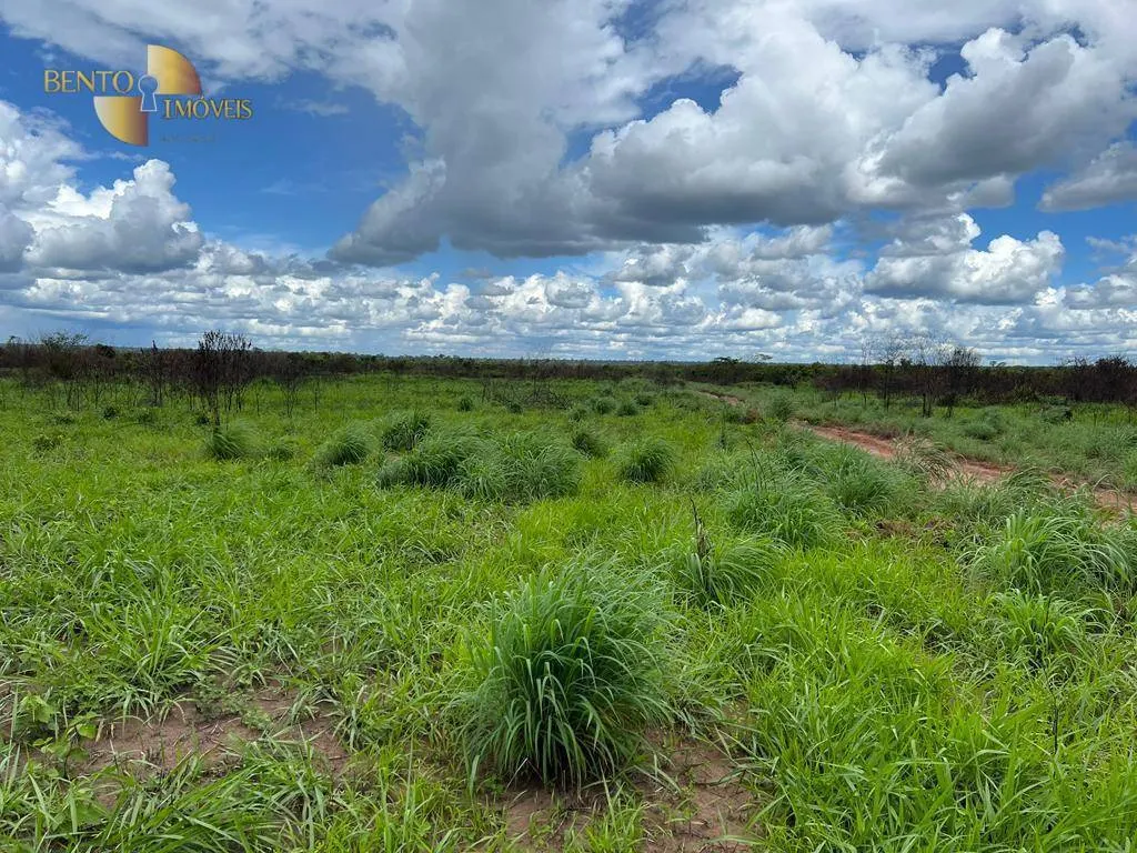 Fazenda à venda de 4.500 ha em Marcelândia, MT, Brasil
