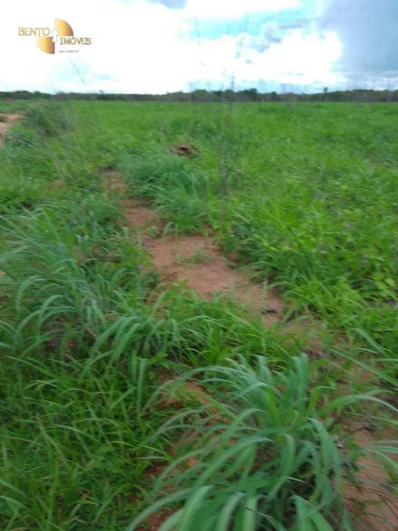 Fazenda à venda de 4.500 ha em Marcelândia, MT, Brasil