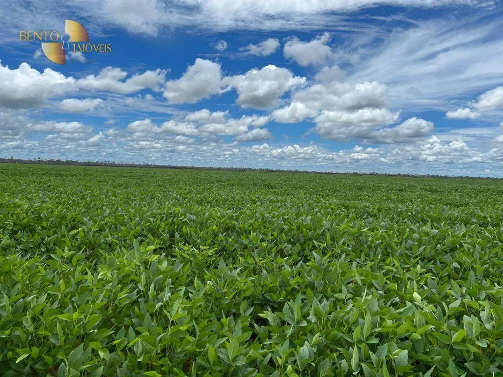 Fazenda à venda de 4.500 ha em Marcelândia, MT, Brasil