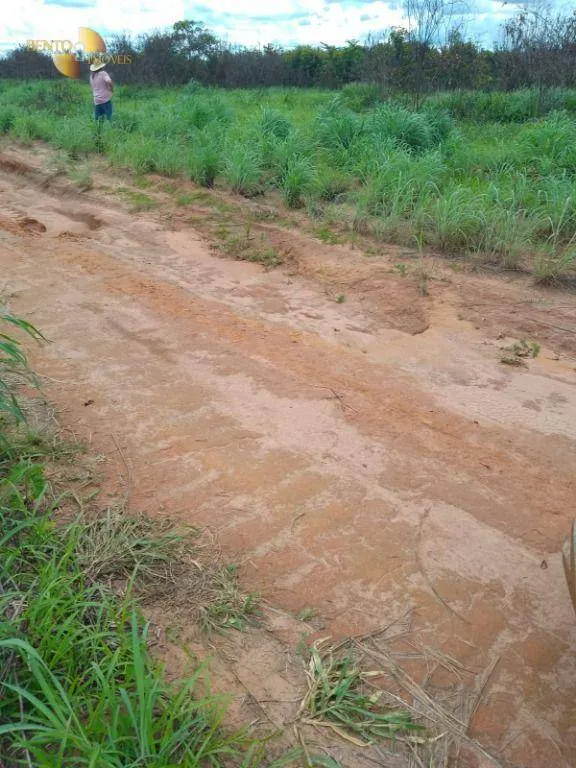 Fazenda à venda de 4.500 ha em Marcelândia, MT, Brasil