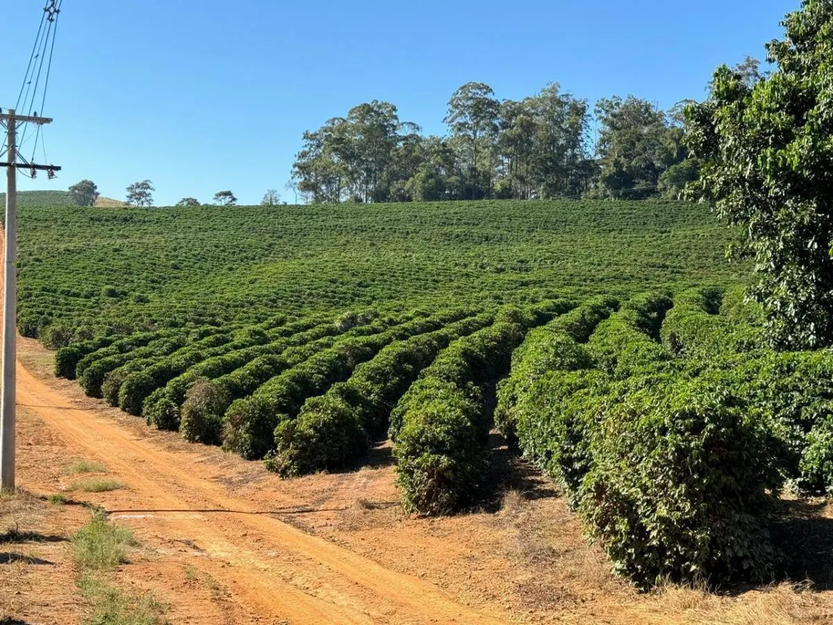 Fazenda à venda de 397 ha em Caconde, SP, Brasil