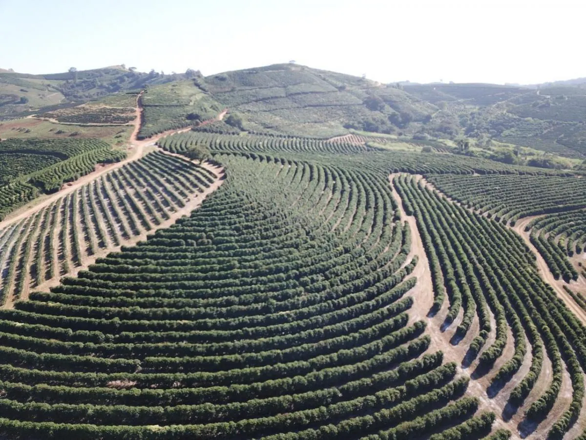 Fazenda à venda de 397 ha em Caconde, SP, Brasil