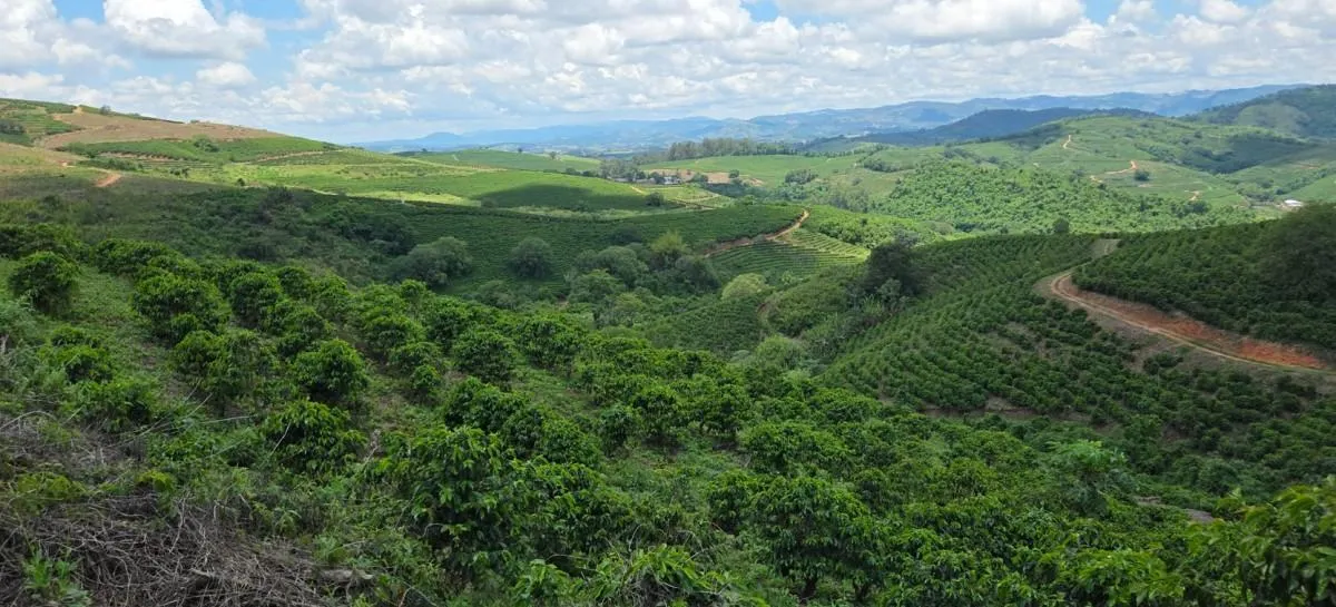 Fazenda à venda de 397 ha em Caconde, SP, Brasil