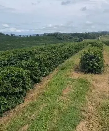 Fazenda à venda de 397 ha em Caconde, SP, Brasil