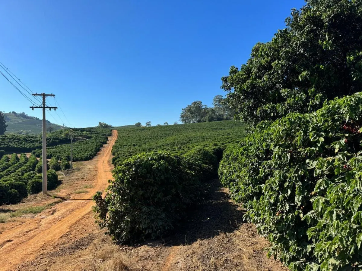 Fazenda à venda de 397 ha em Caconde, SP, Brasil
